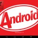 Установка Flash Player на Android 4.4 KitKat