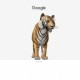 Любимые животные в 3D от Google: как и на кого можно посмотреть?