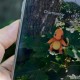 Новая версия Pokemon GO не будет работать на смартфонах с Root