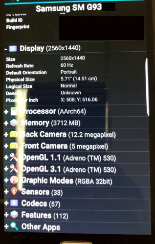 5.7-дюймовый Samsung Galaxy S7 (Edge Plus?) с 12МП камерой