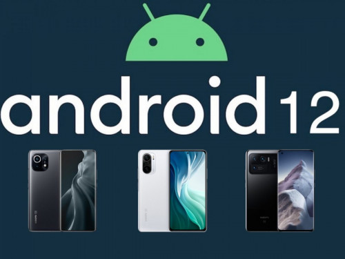 Xiaomi объявила, какие смартфоны получат Android 12